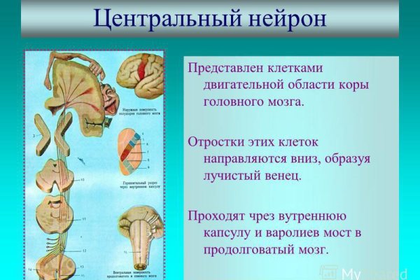 Кракен ссылка на тор официальная онион