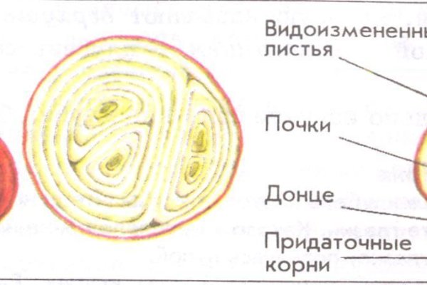 Ссылка на мегу в тор браузер онион